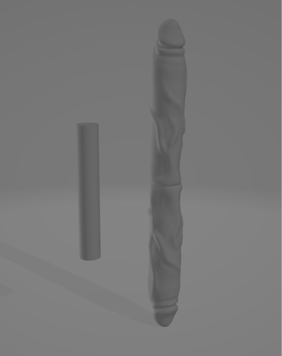 Dual Dildos with Stick