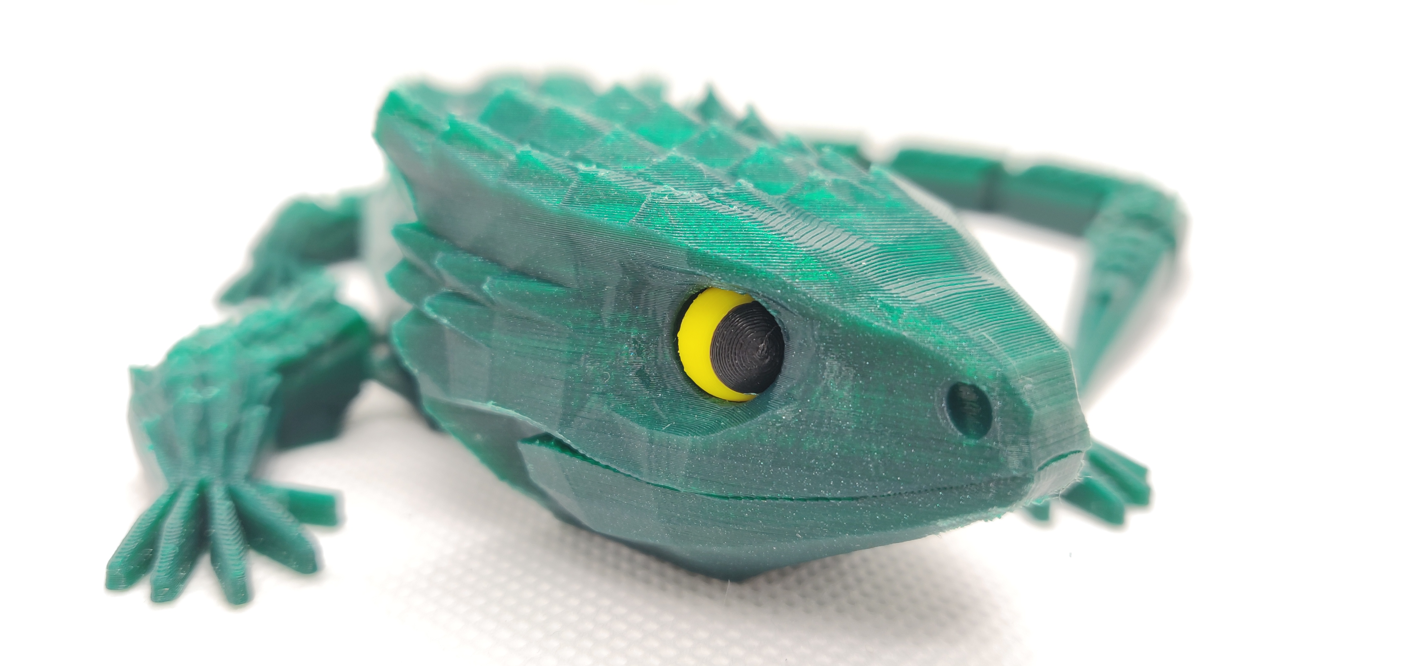Eyes with pupil for Red-Eyed Crocodile Skink