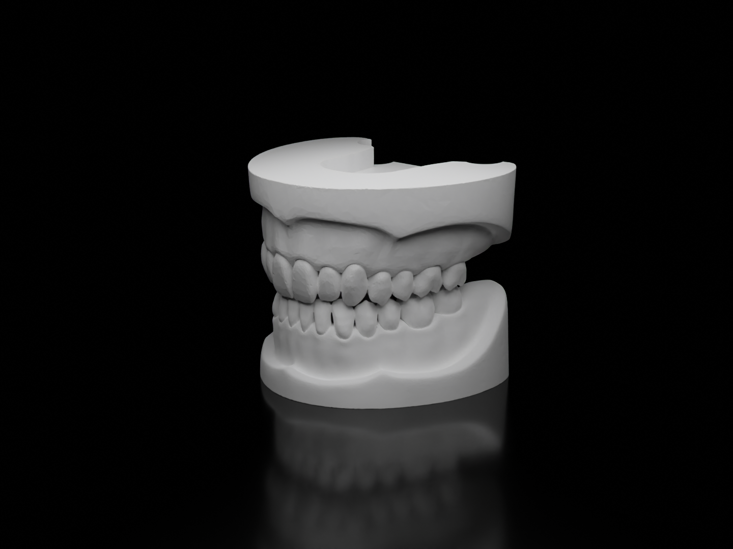 Human teeth model