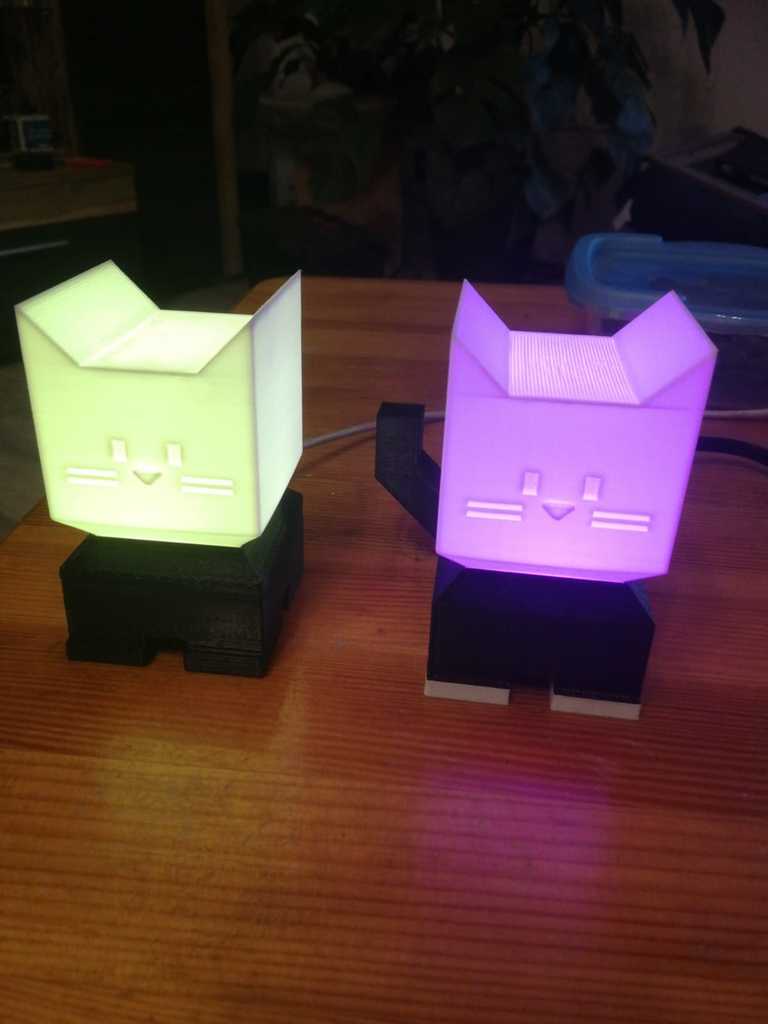 Illumination Cat Duet