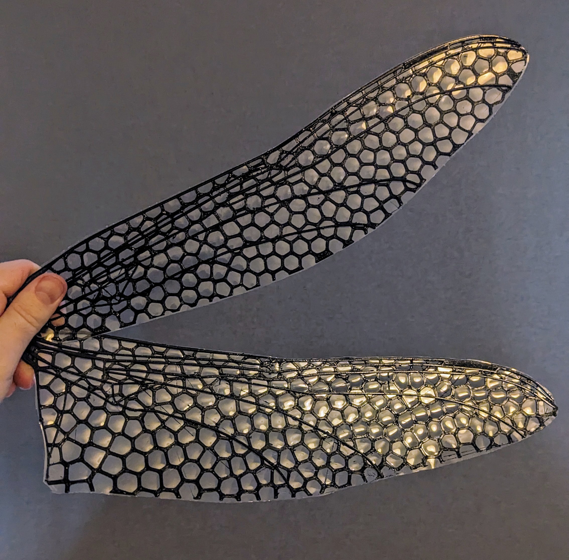 Bionic Dragonfly Wings for MAVs