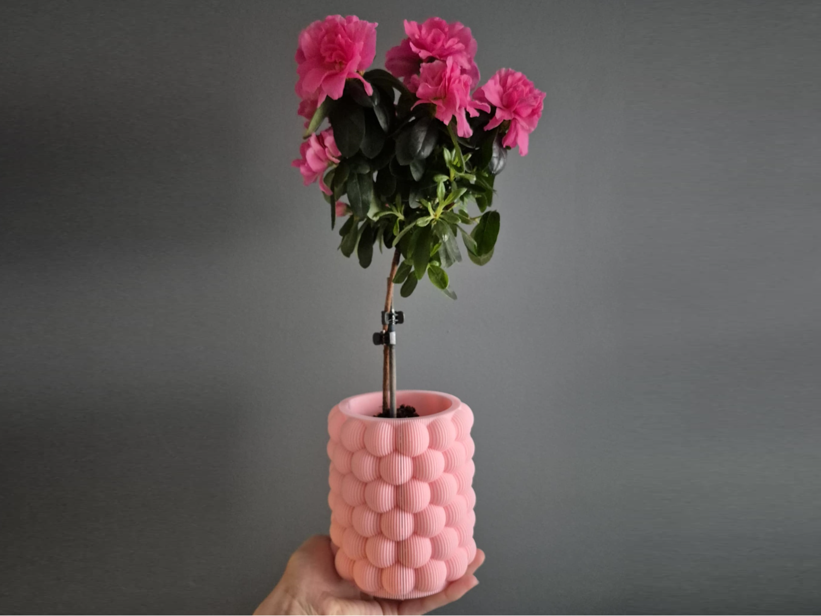 squishy flowerpot