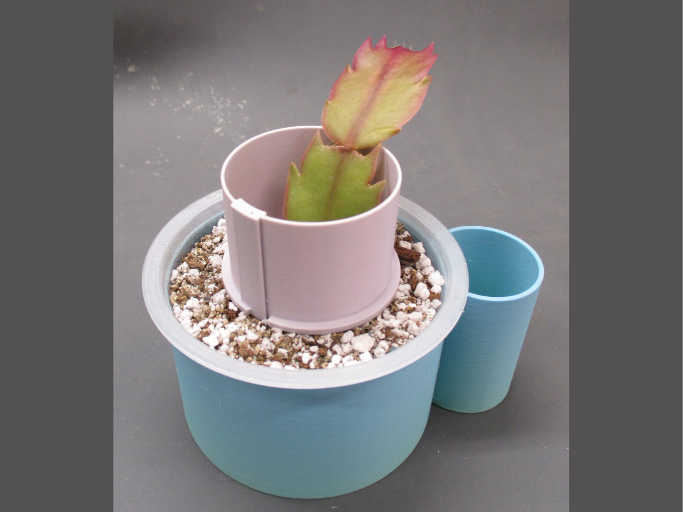 Plant Support Ring