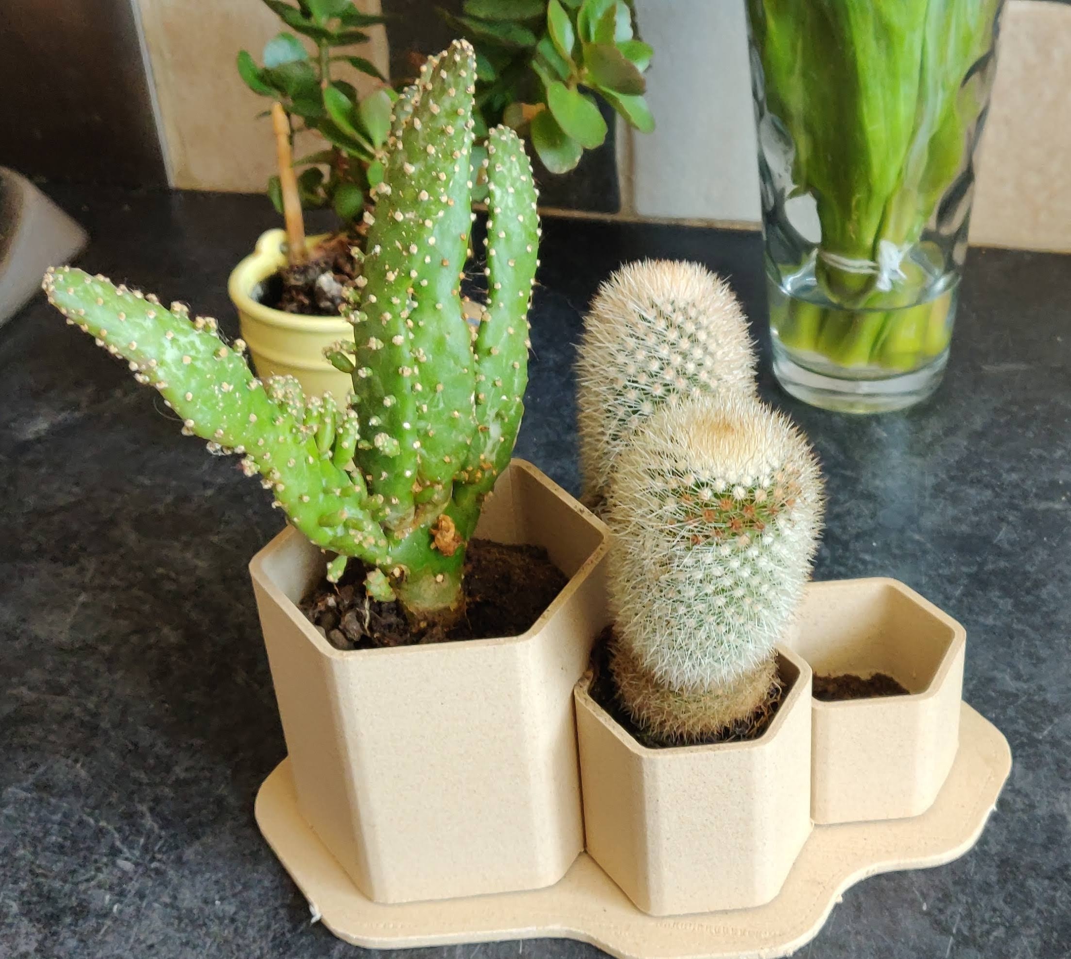 Small Tiered Hex Juvenile Cactus Planter Pot
