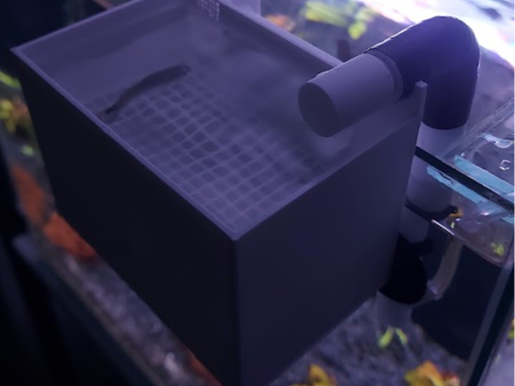 Aquarium Hang-On Breeding Box / Askı Yavruluk