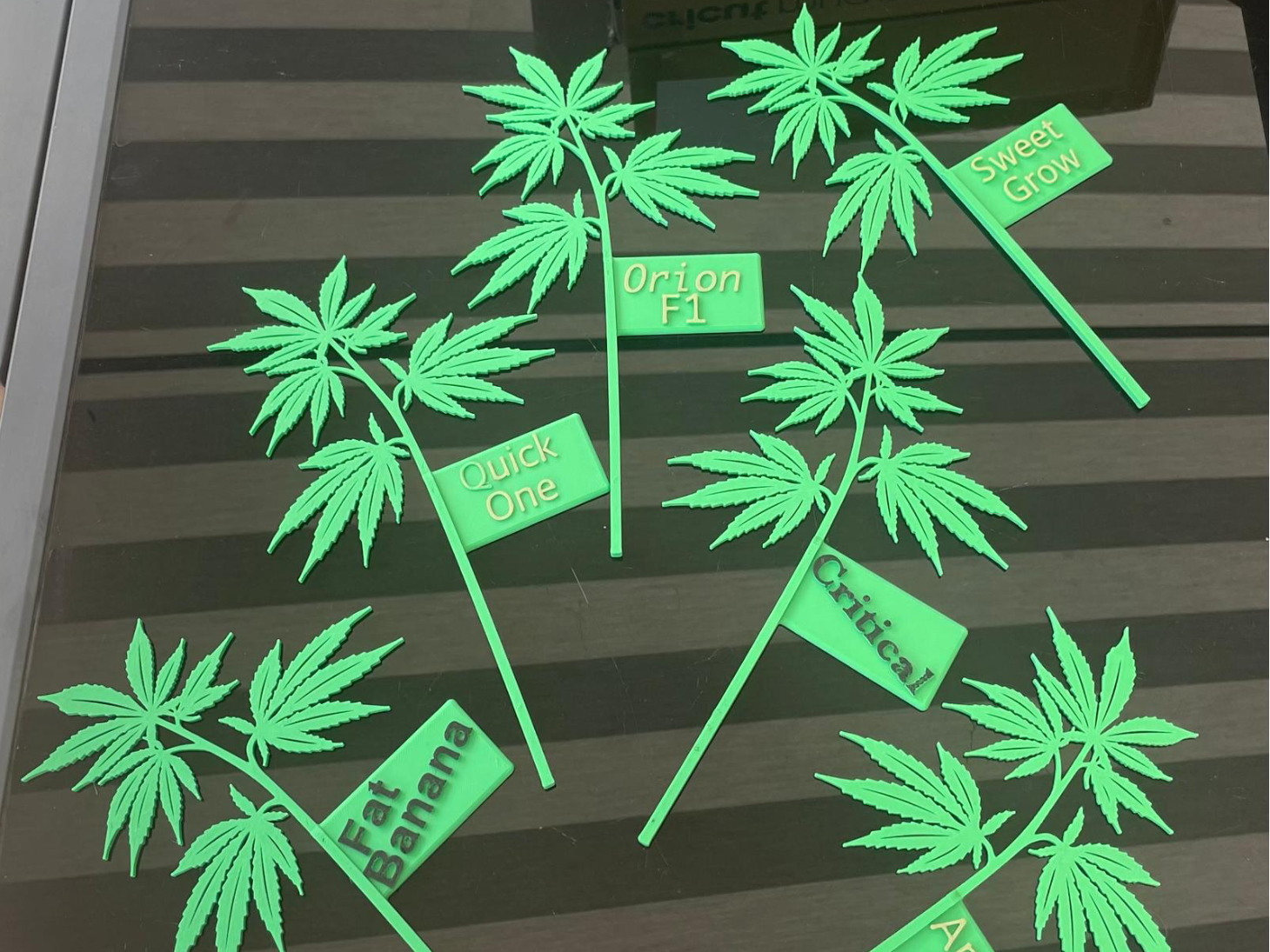 Cannabis Pflanzstecker