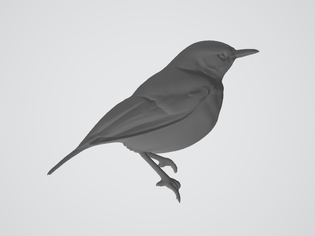 Robin