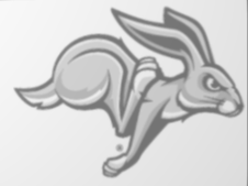SDSU Jackrabbits lithopane