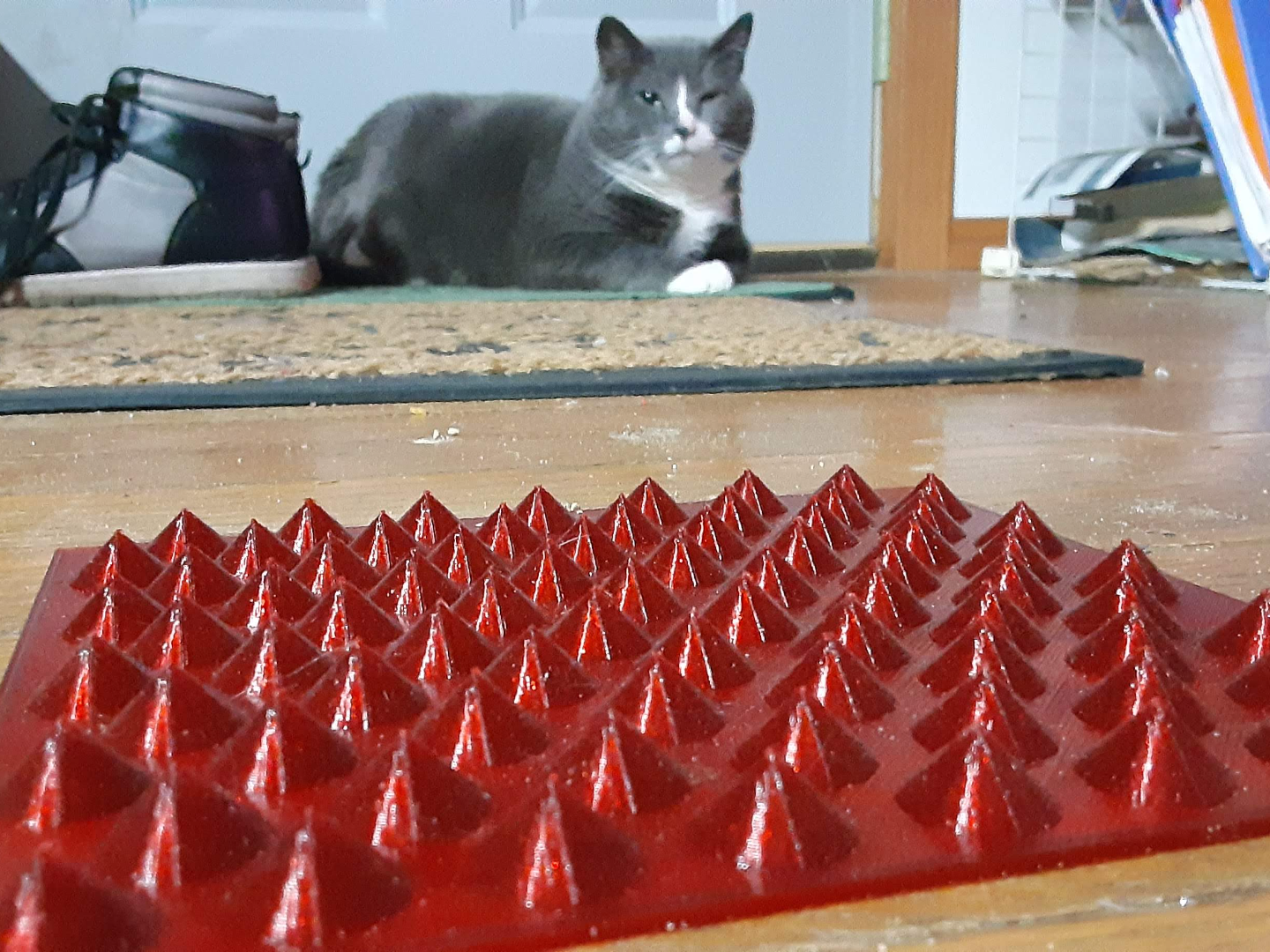 Cat Spikes MKII