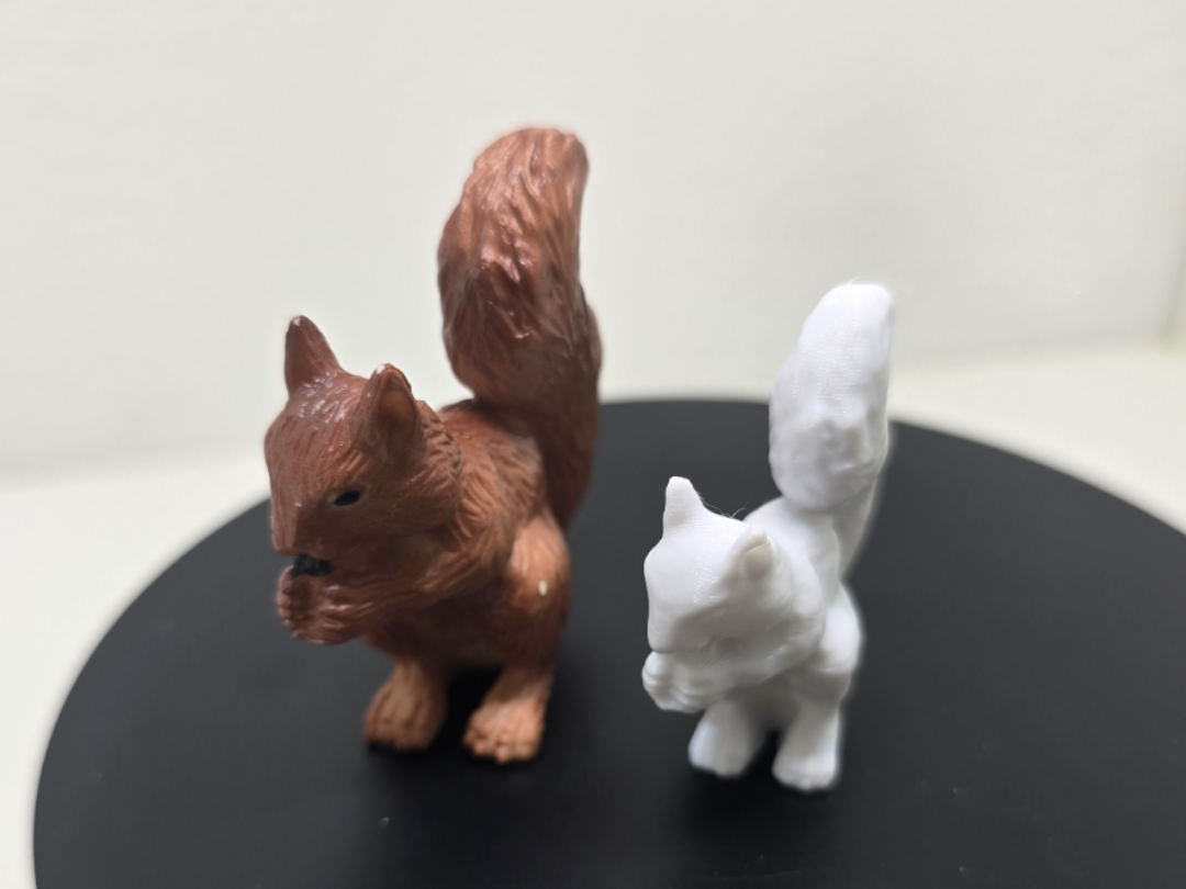 Squirrel