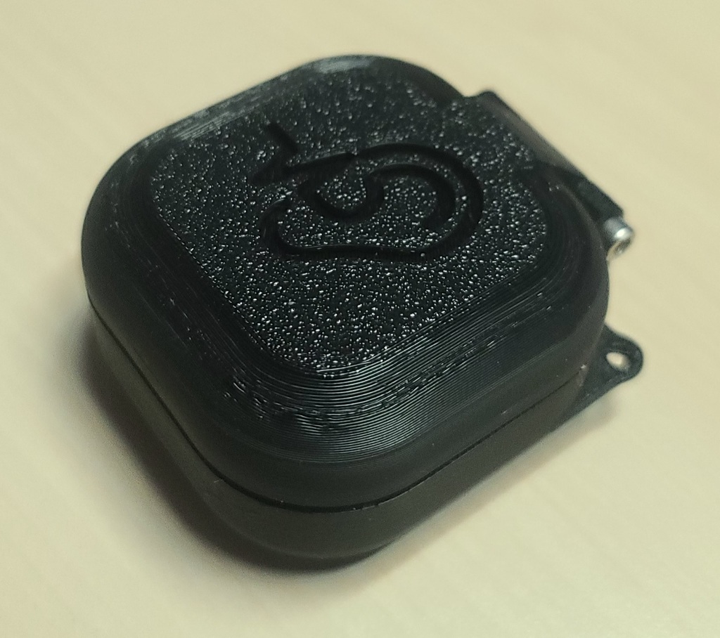 Hearing Aids / Ear Buds Case