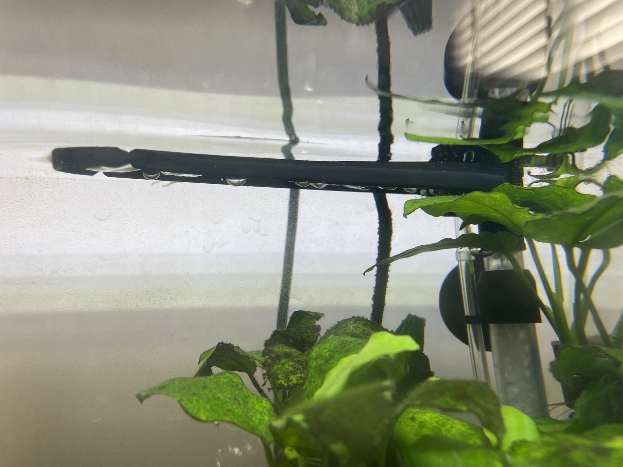 Aquarium Air Filter - Splash Guard