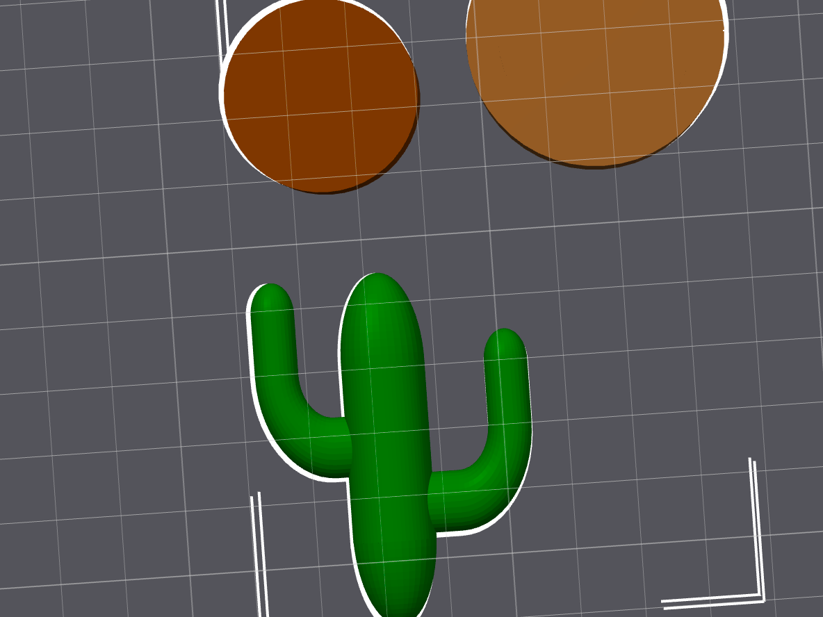 Cactus/Cacti