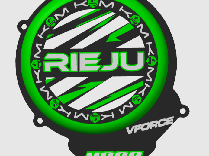 RIEJU IGNITION COVER
