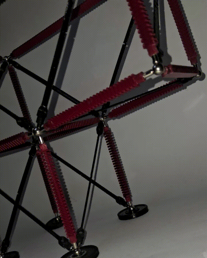 Structural Model | architecture