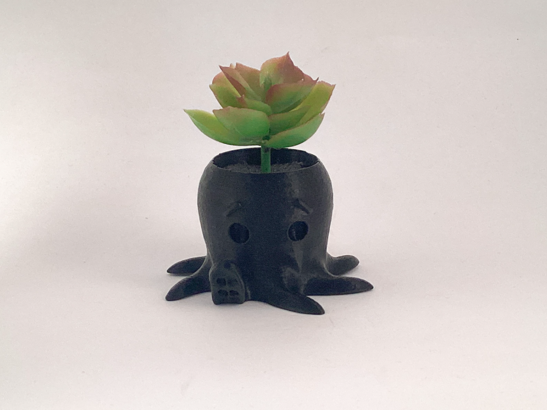 Octo Planter