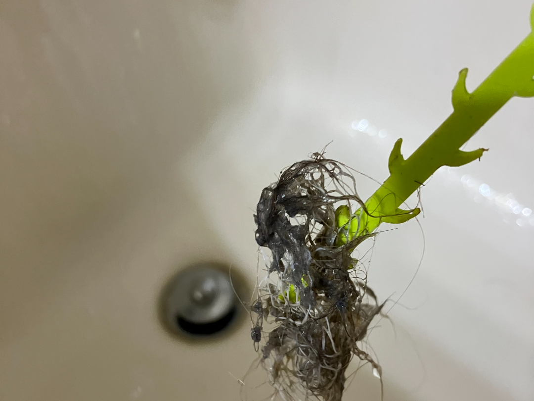 Drain Unclogger