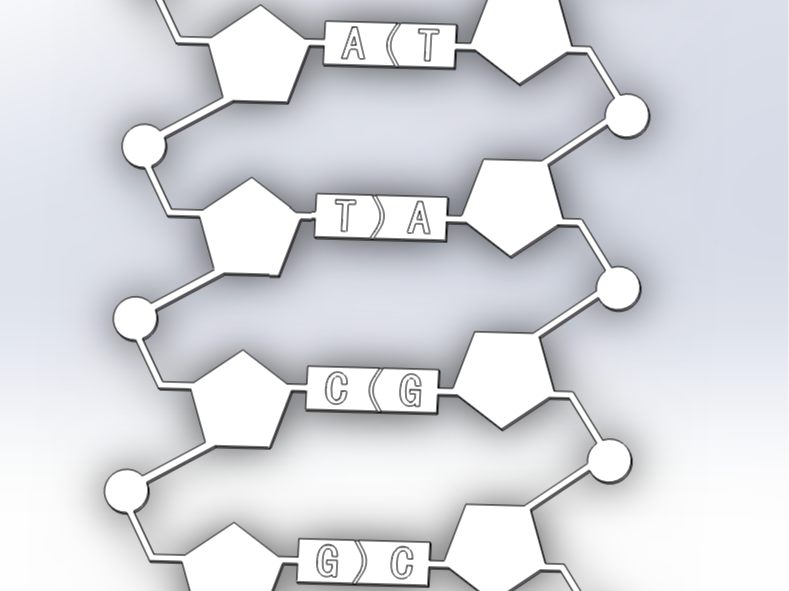 dna