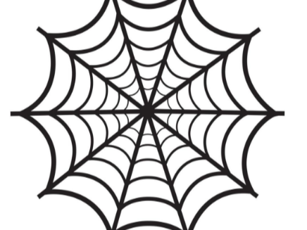 spiderman spiderweb