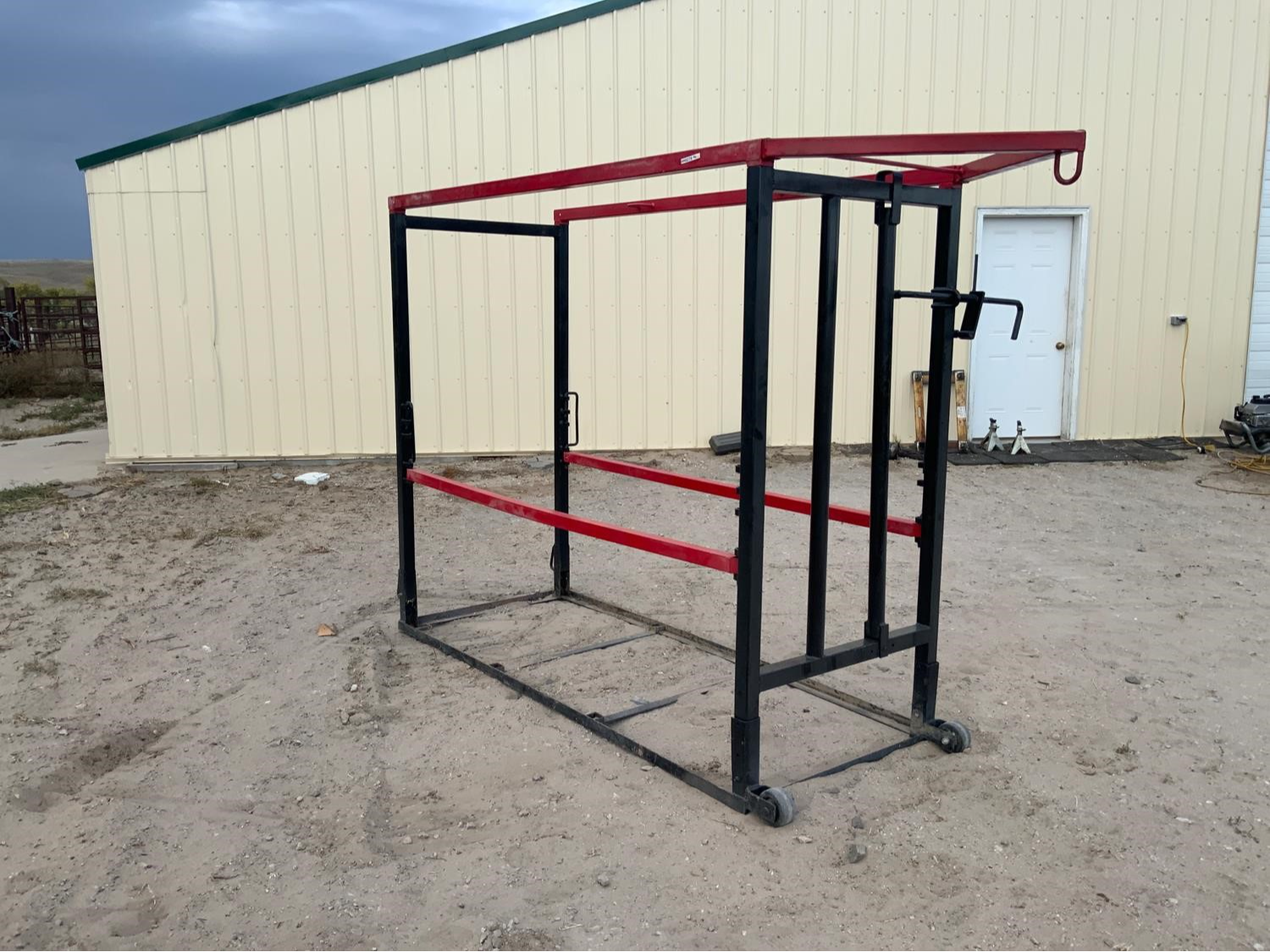 cattle grooming
