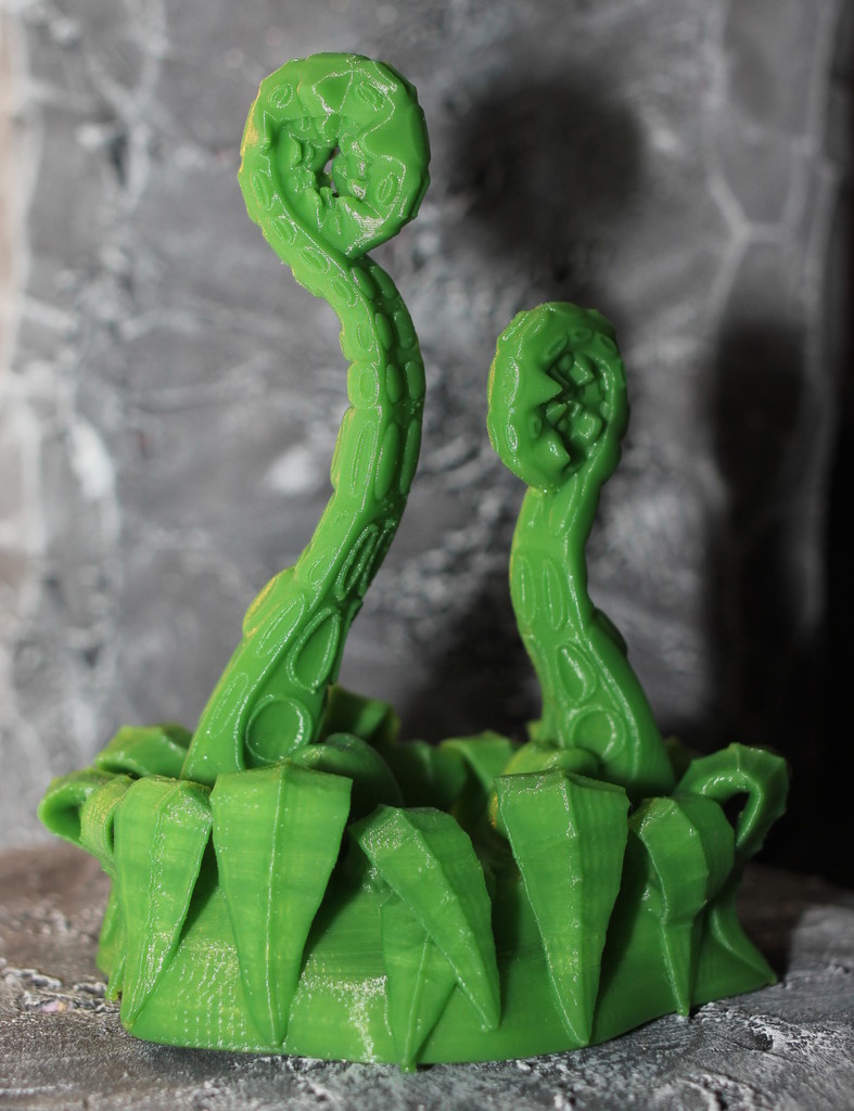Tabletop plant: Double Fern Tentacle (17 Leaves)