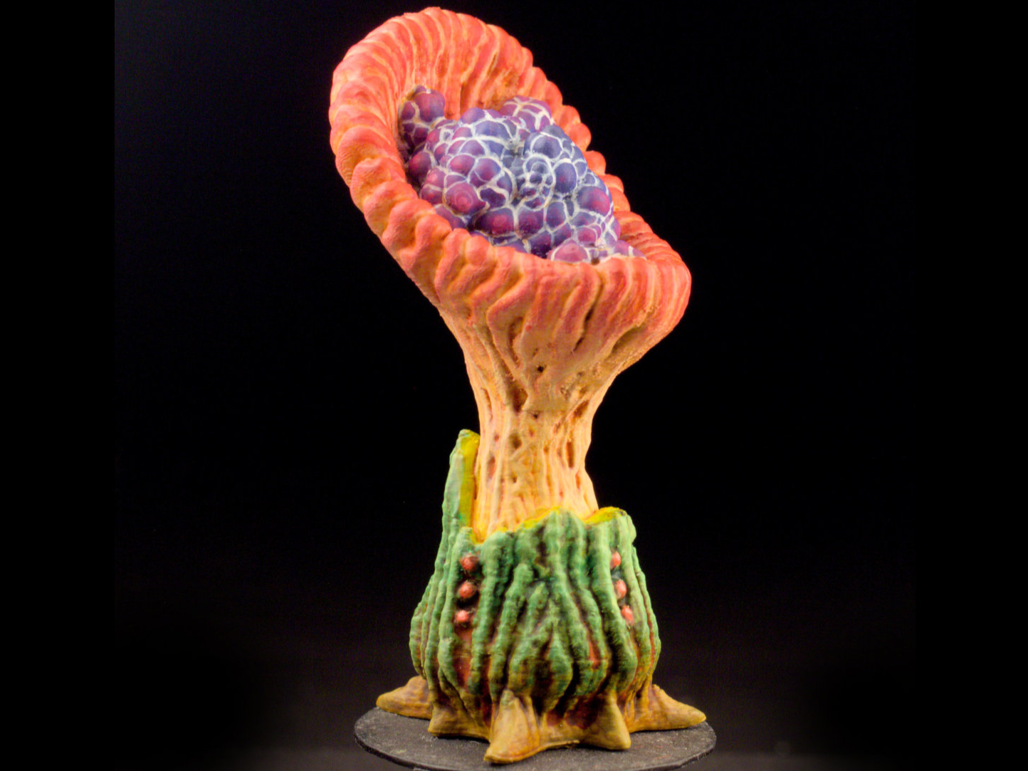 Tabletop plant:FoamHeadPlant (Alien Vegetation 57)