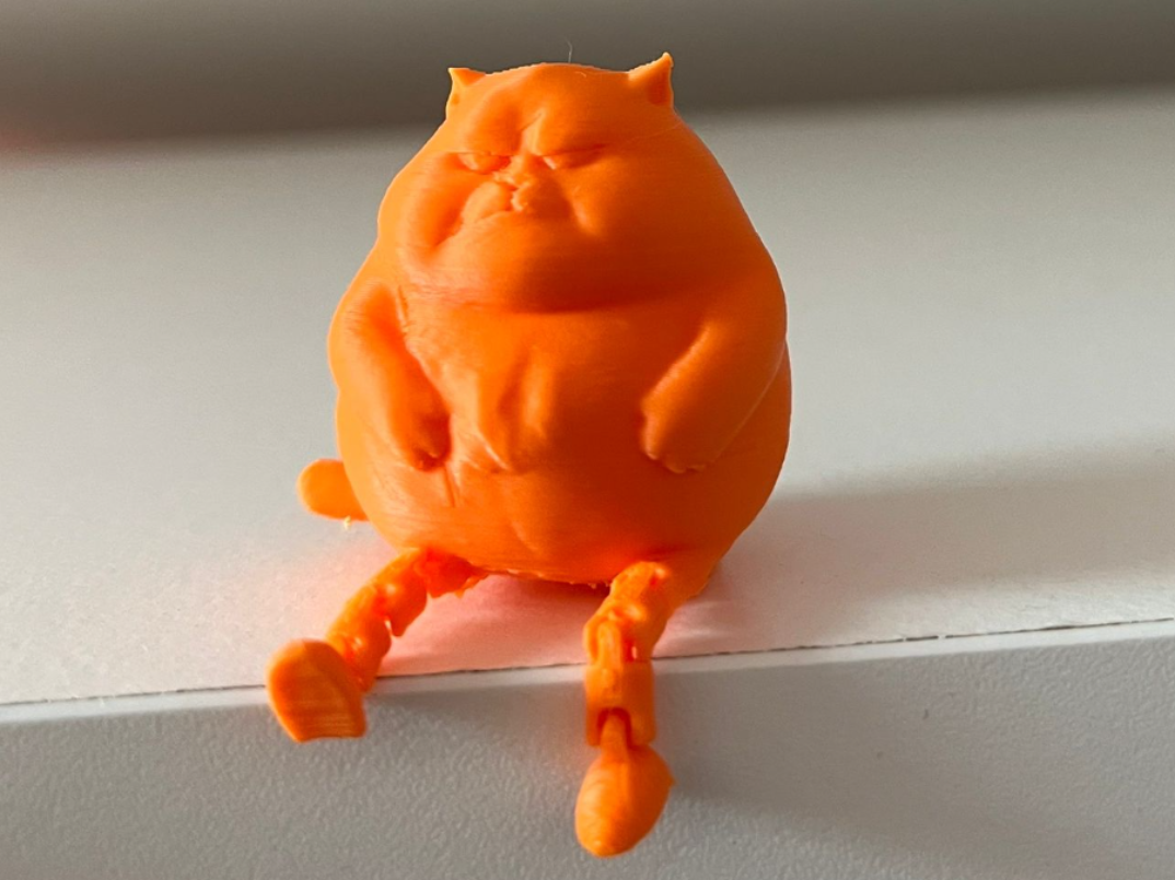 Angry cat with atriculated legs
