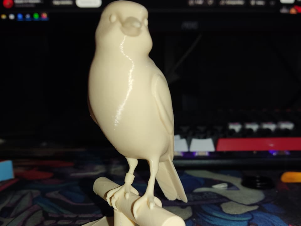 Passaro 3d
