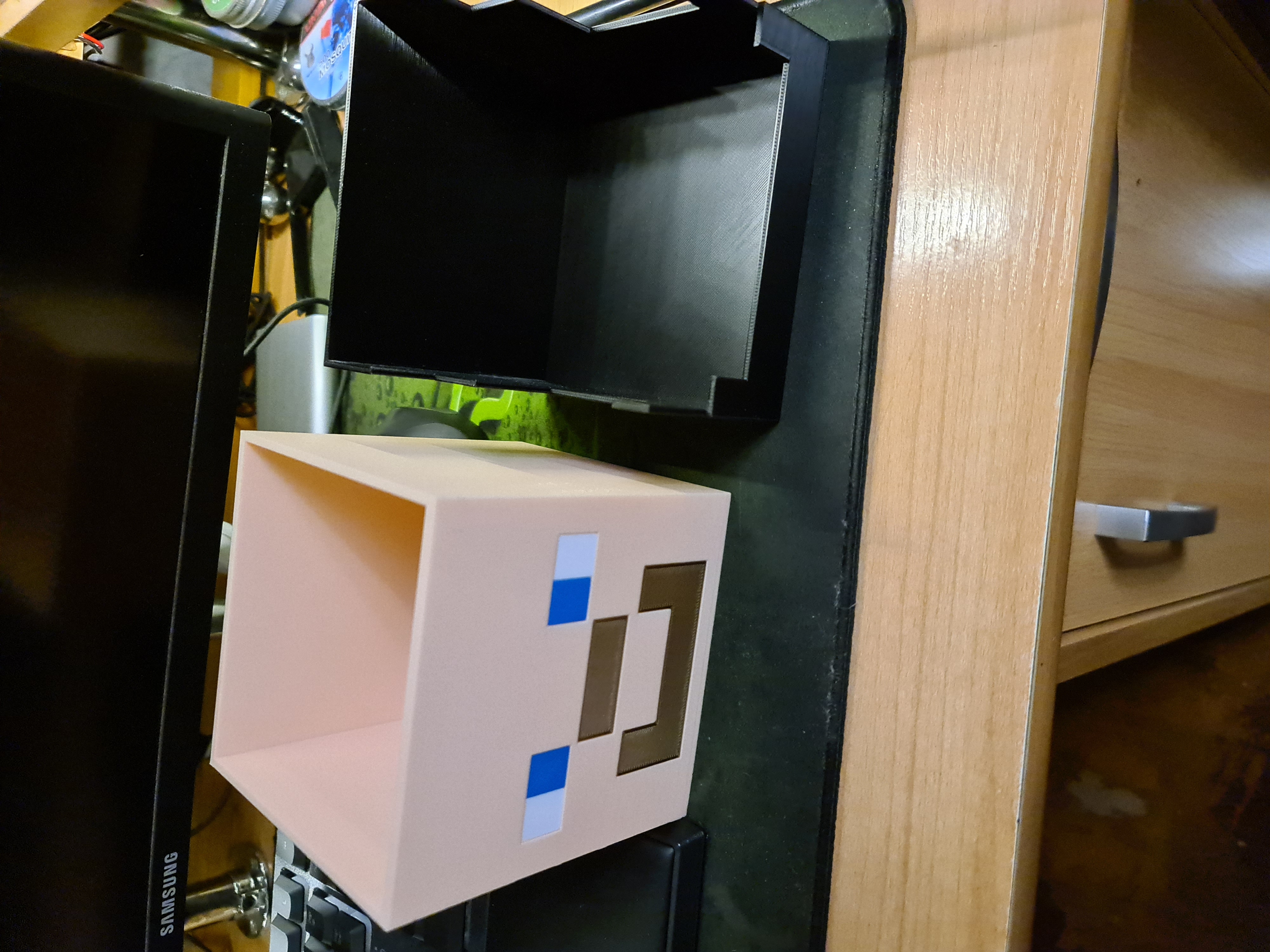 Head of Steve  - storage