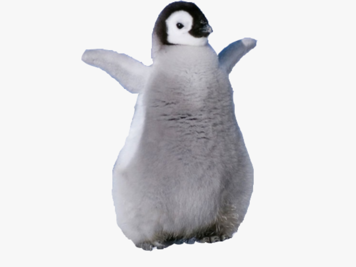 Flexi baby penguin