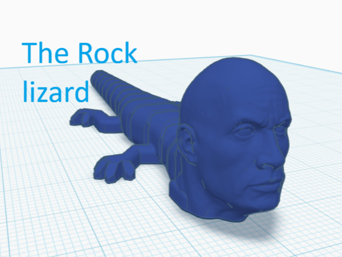 The Rock lizard