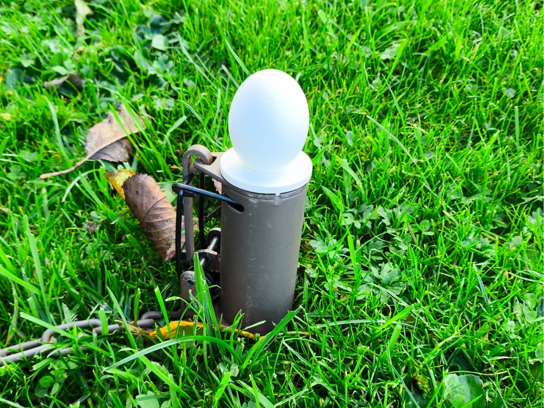 dog proof coon trap cover egg with or without bait