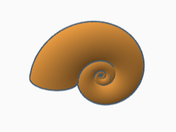 Nautilus shells