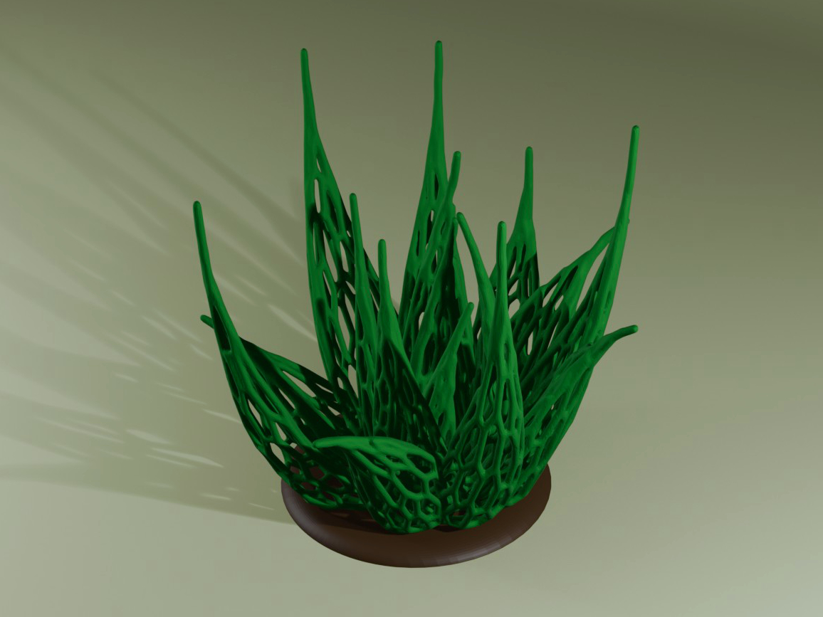 Plant Voronoi