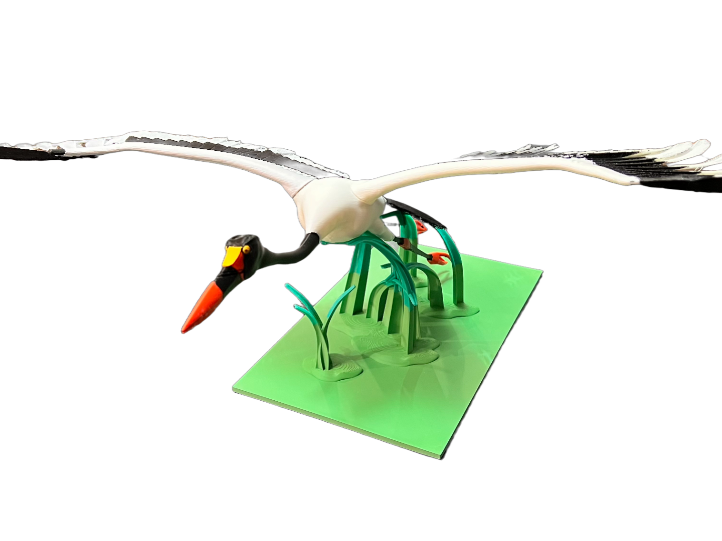 Saddlebill Stork - advanced print