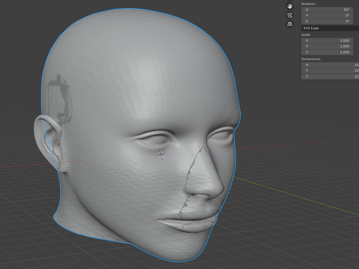 Anatomical Human Head Model