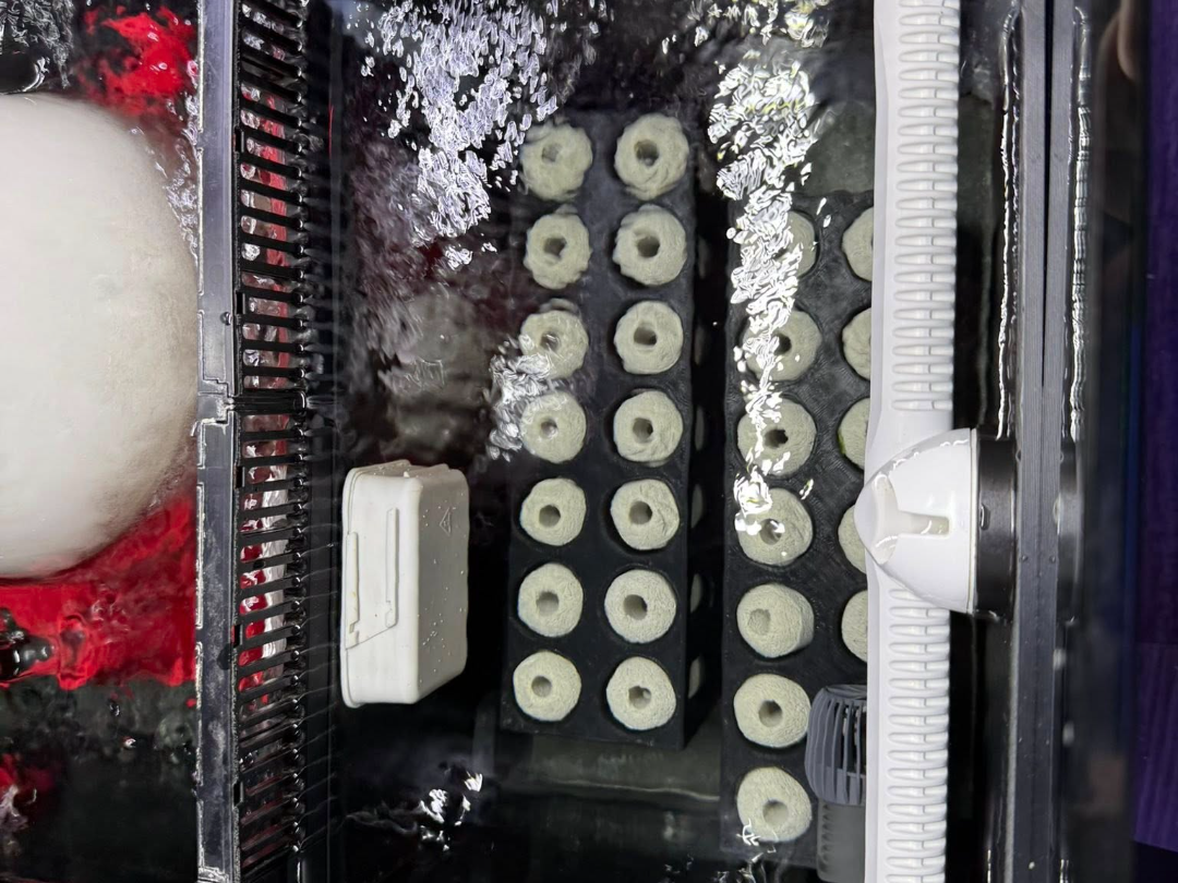 Red Sea Reefer 425 Sump Refugium