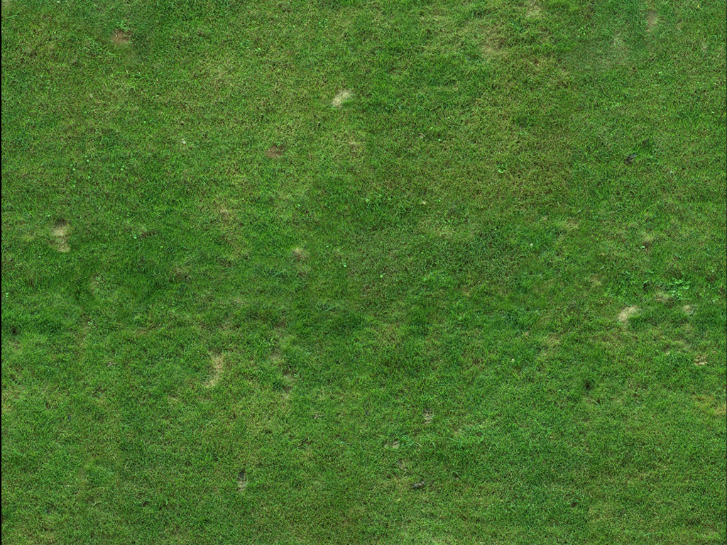 saleem-model-grass