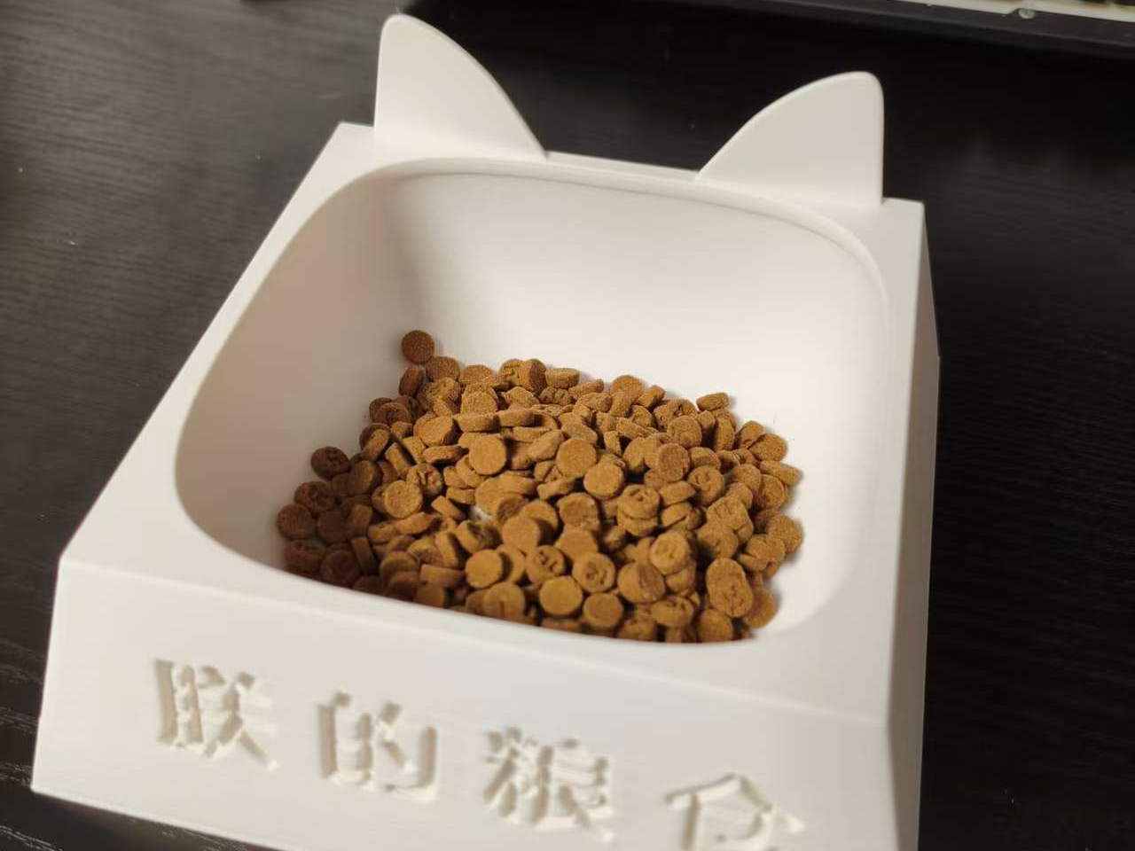 Cat Food & Water Bowl Set