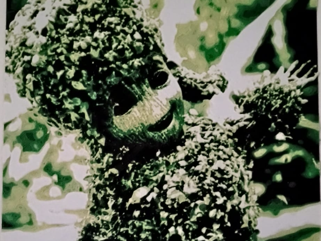 GROOT