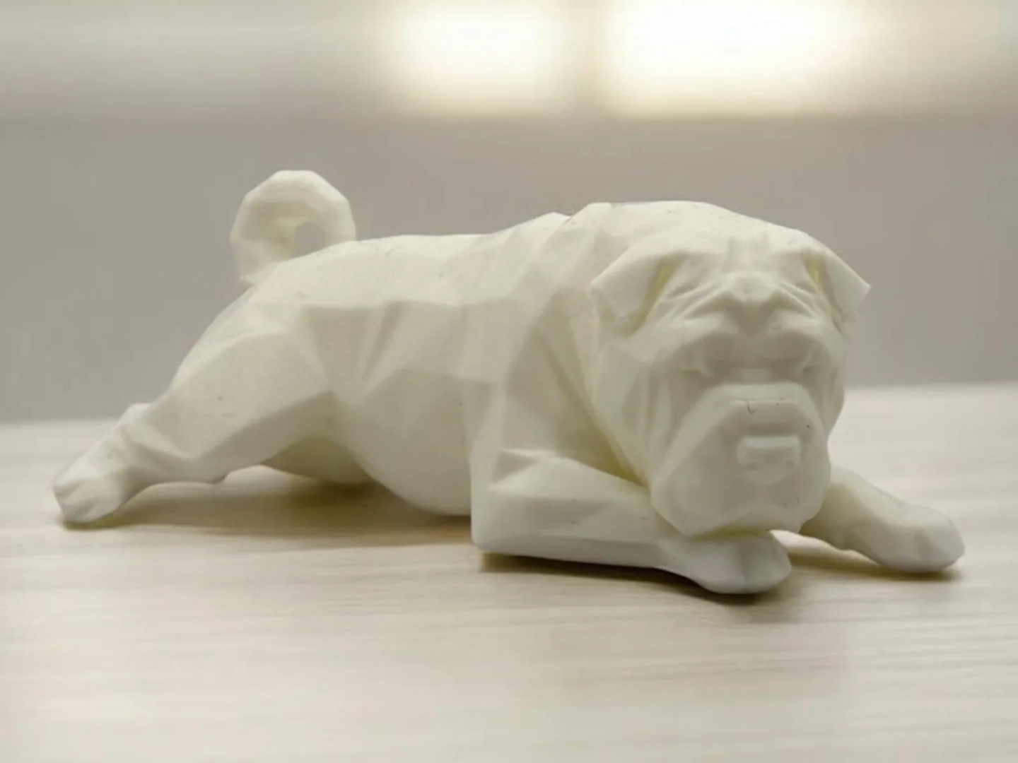 Shar Pei Dog