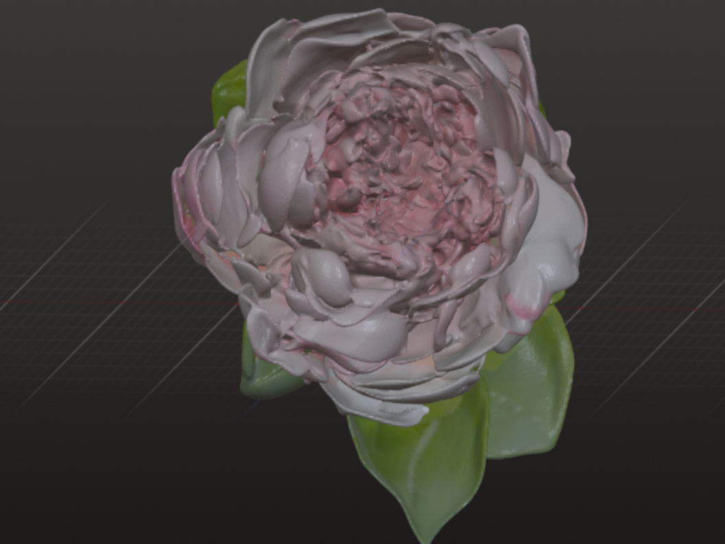 Peony