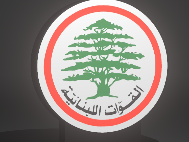 Lebanese forces light box