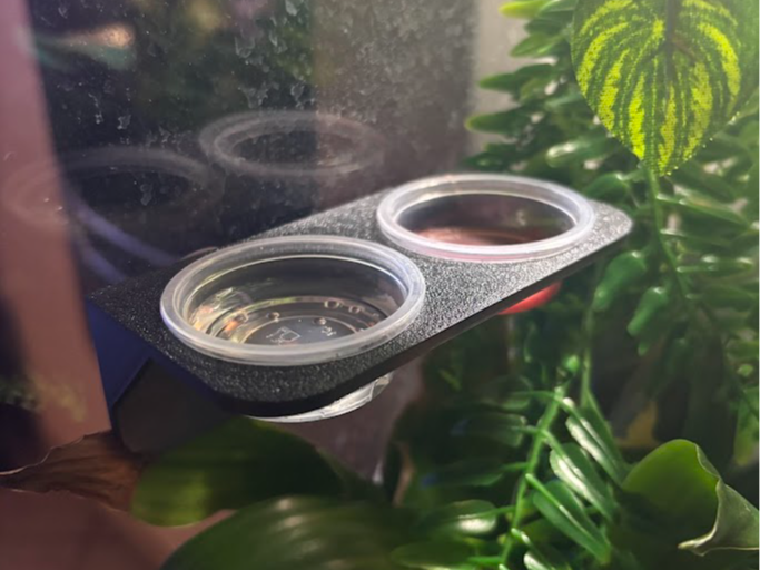 Gekko / reptile feed dish shelf