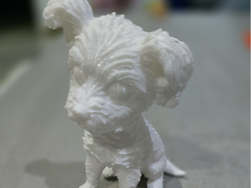 perro