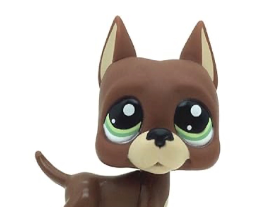 LPs dog