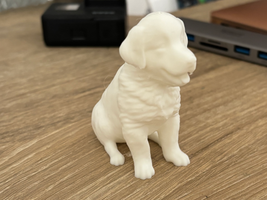 puppy