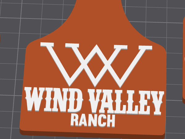 Wind Valley Cow tag keychain