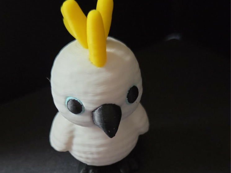 White Cockatoo