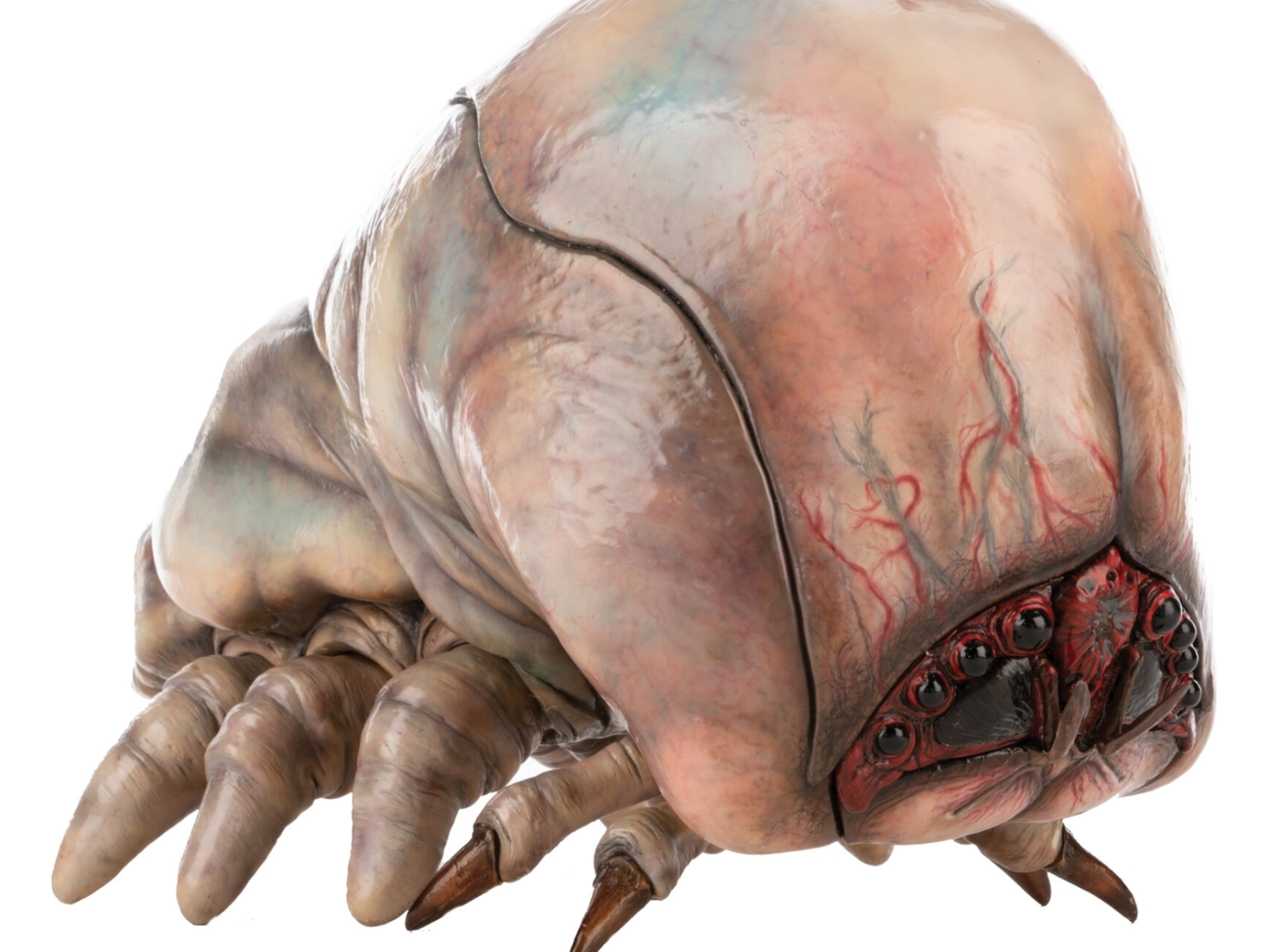 Starship Troopers - Brainbug 3D Model